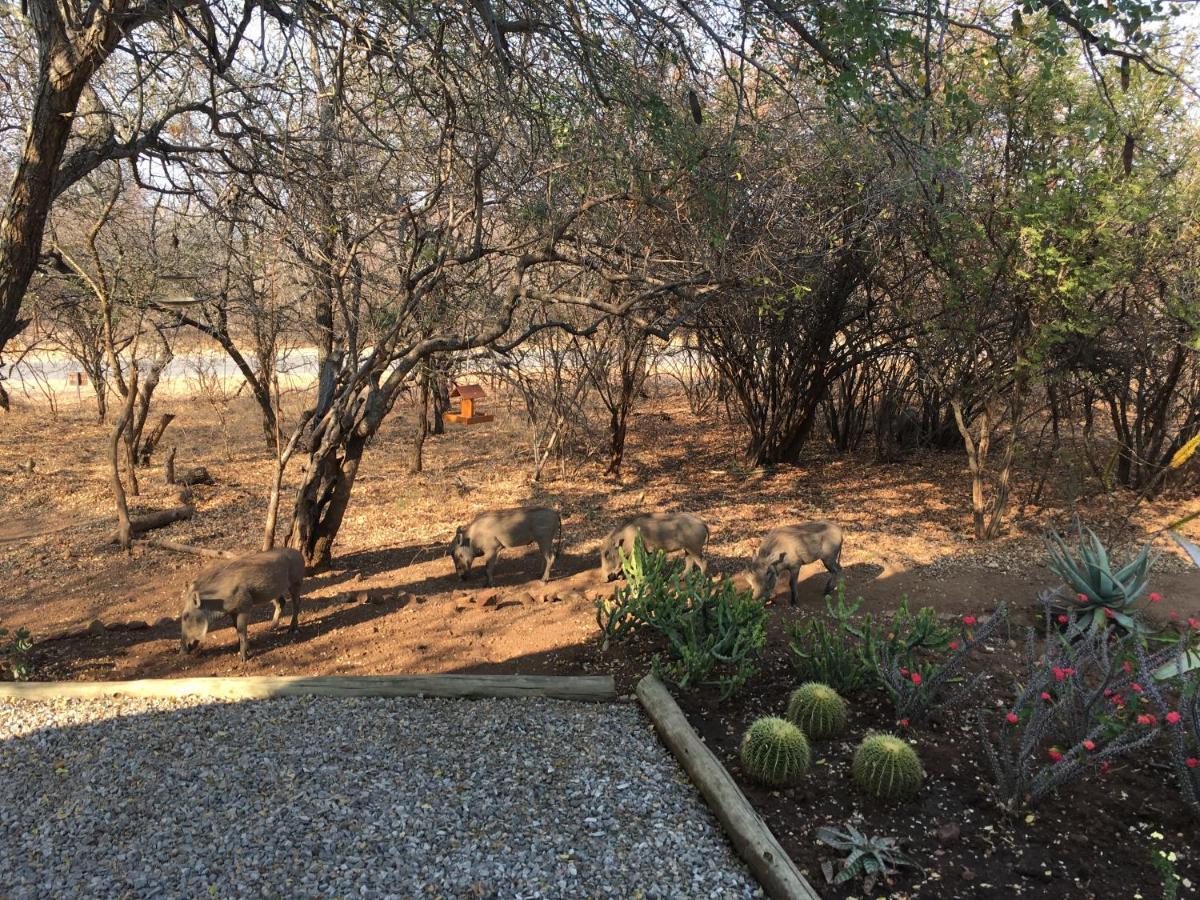 Giraffe Lodge Hoedspruit Bagian luar foto