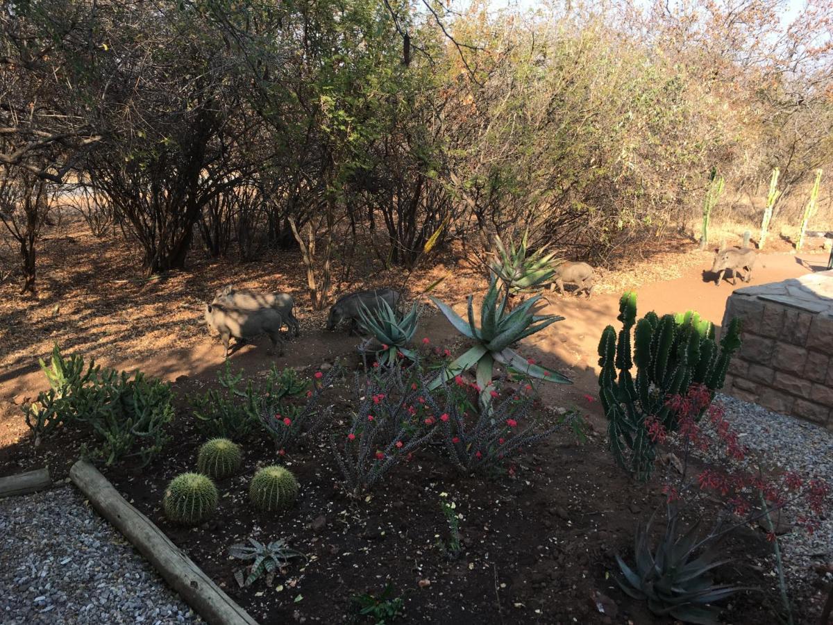 Giraffe Lodge Hoedspruit Bagian luar foto