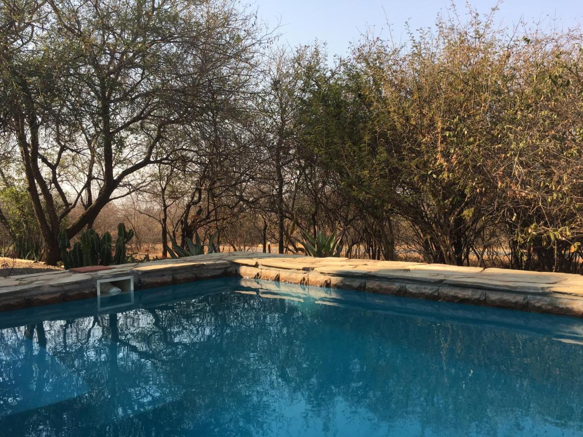 Giraffe Lodge Hoedspruit Bagian luar foto