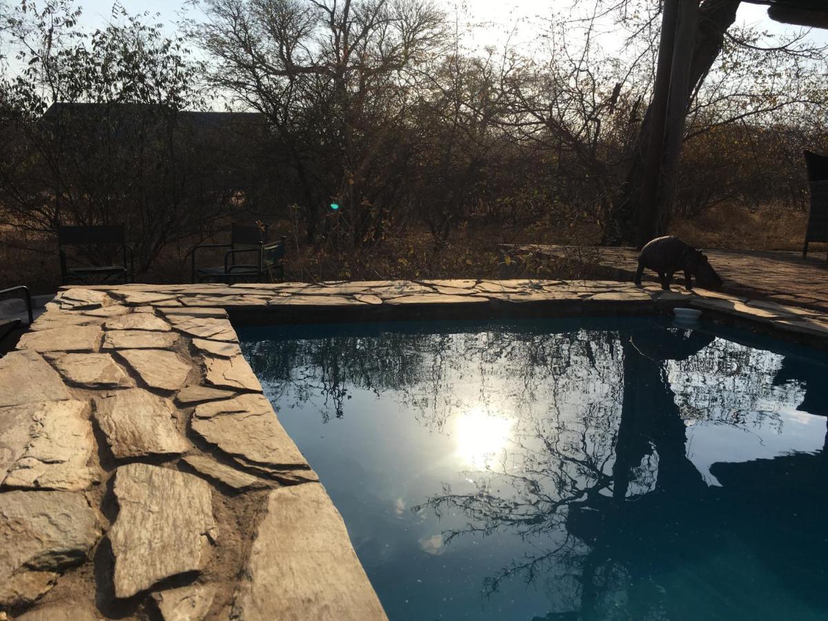 Giraffe Lodge Hoedspruit Bagian luar foto