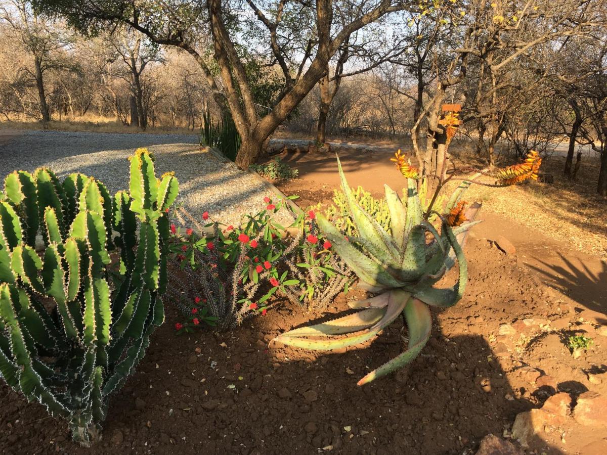 Giraffe Lodge Hoedspruit Bagian luar foto