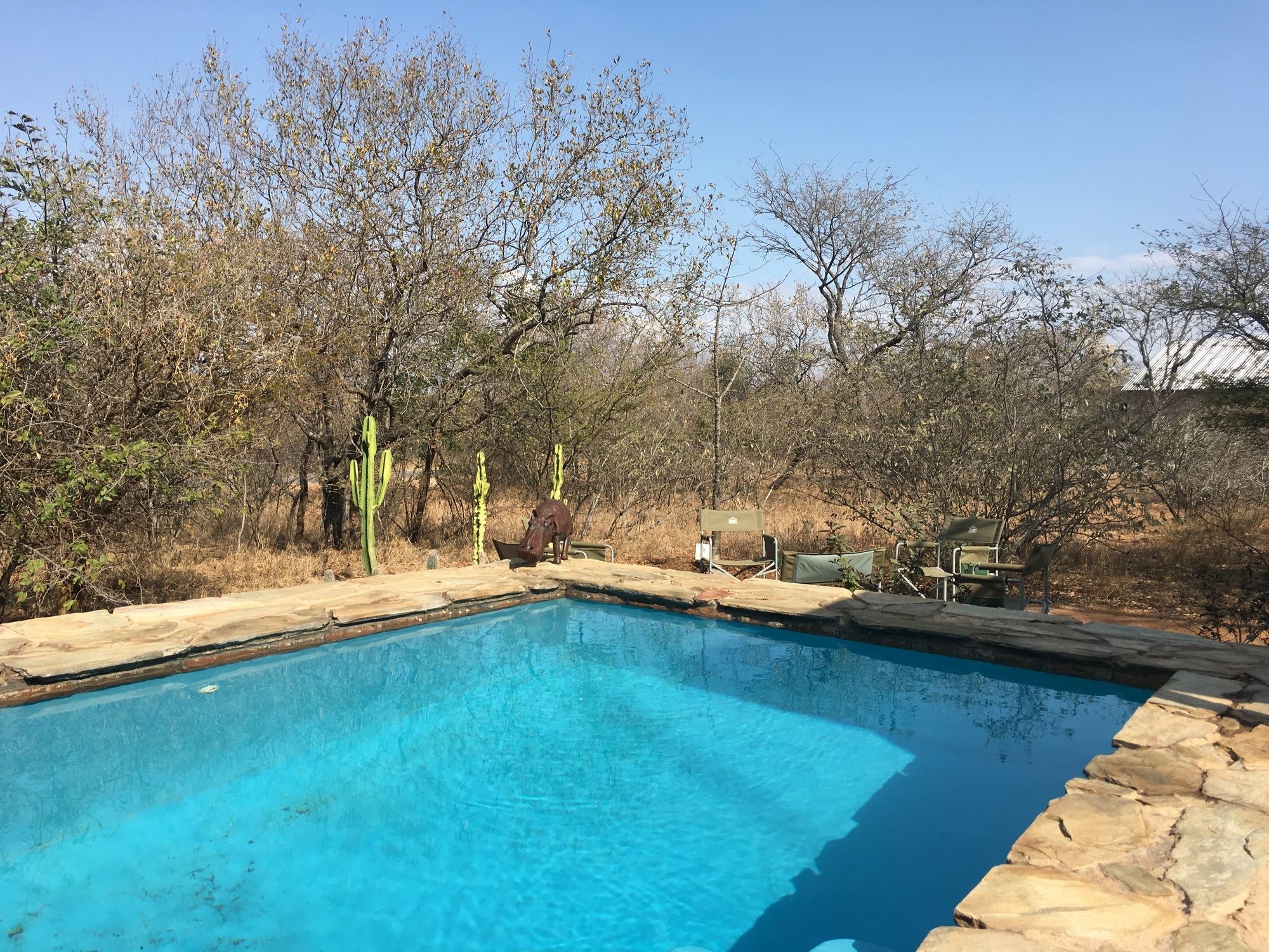 Giraffe Lodge Hoedspruit Bagian luar foto